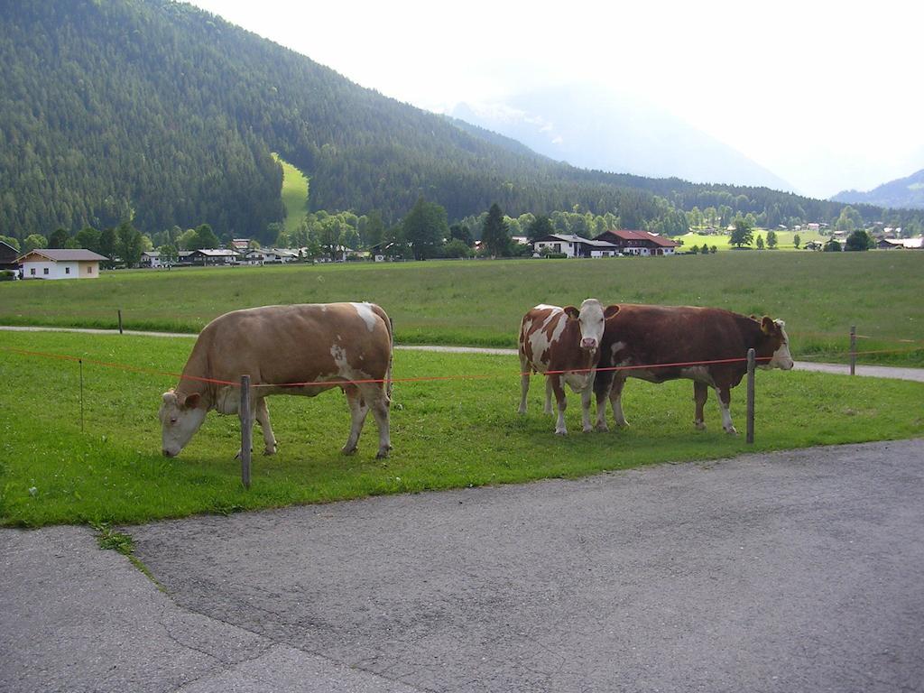 Gaestehaus Bodnerlehen Ξενοδοχείο Schönau am Königssee Δωμάτιο φωτογραφία